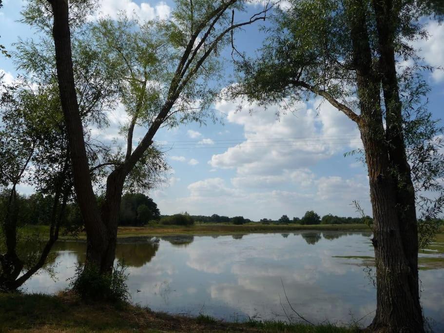 Bed and Breakfast Le Prieure De Loups Saint-Michel-en-Brenne Exterior foto